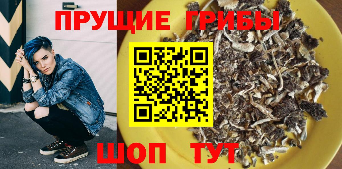 Дагестанские Огни  Галлюциногенные грибы ЛСД  Вход с VPN 
